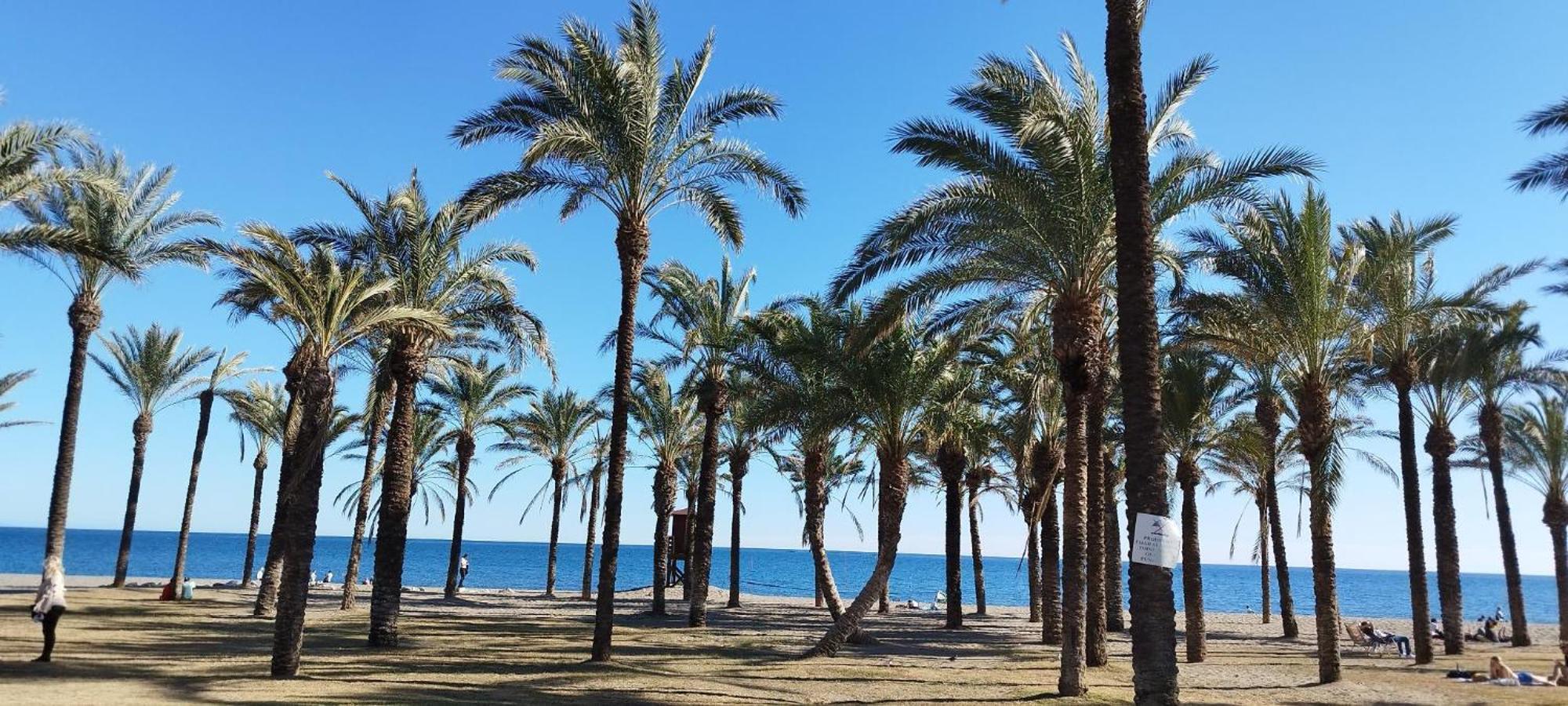 Torremolinos:Appartement Avec Piscine Et Terrasse Exterior foto