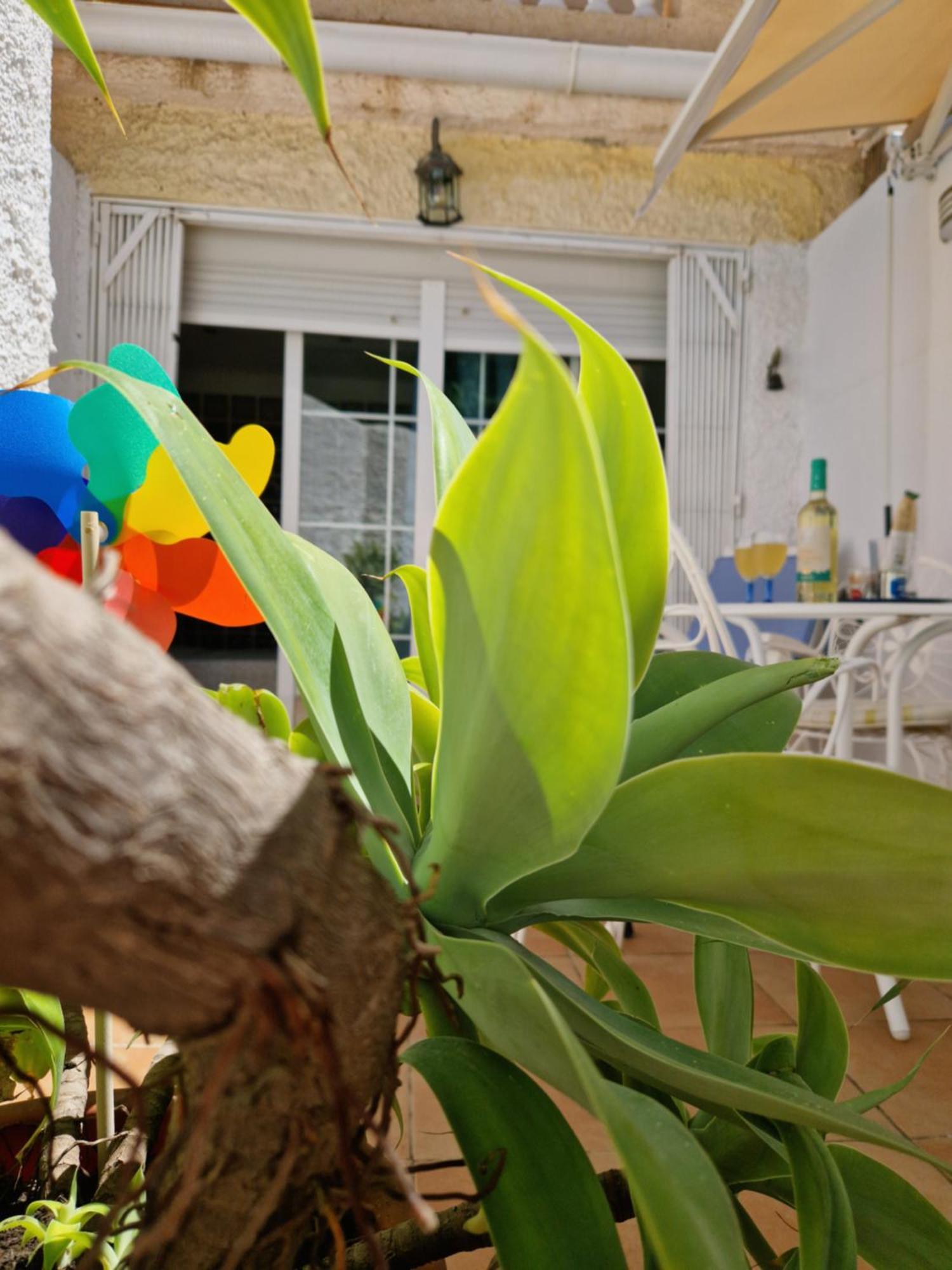 Torremolinos:Appartement Avec Piscine Et Terrasse Exterior foto